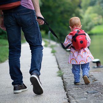 LittleLife Dětský batoh s motivem berušky 2 l